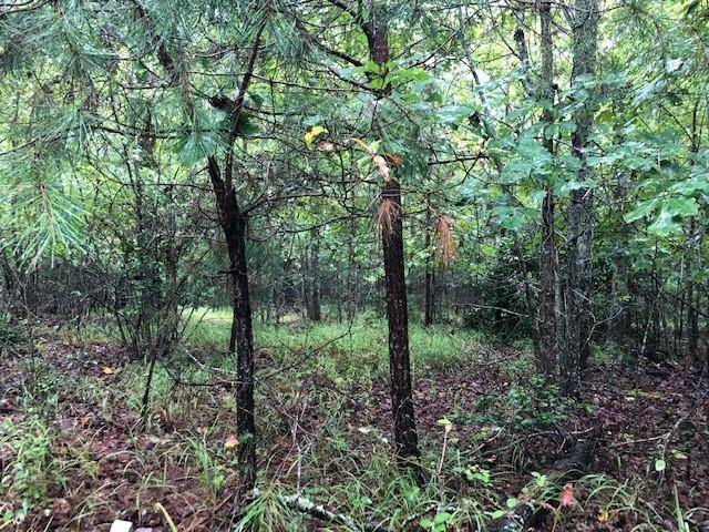 Morganton, GA 30560,Lot 19 Hunter's Ridge