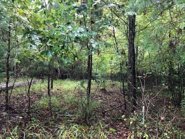 Morganton, GA 30560,Lot 19 Hunter's Ridge