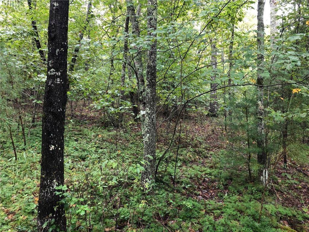 Morganton, GA 30560,Lot 20 Hunter's Ridge