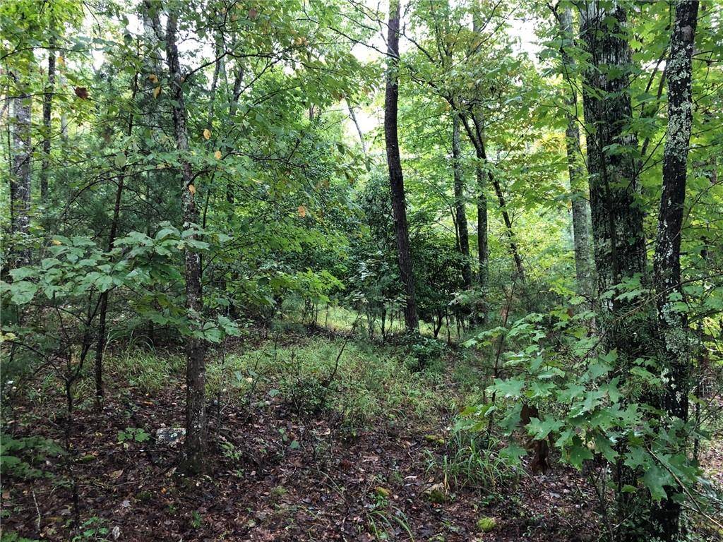 Morganton, GA 30560,Lot 20 Hunter's Ridge