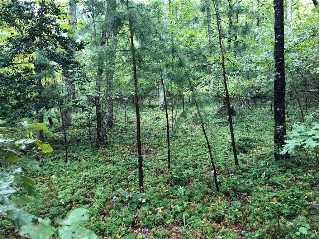 Morganton, GA 30560,Lot 20 Hunter's Ridge