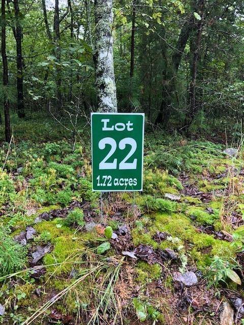 Morganton, GA 30560,Lot 22 Hunter's Ridge