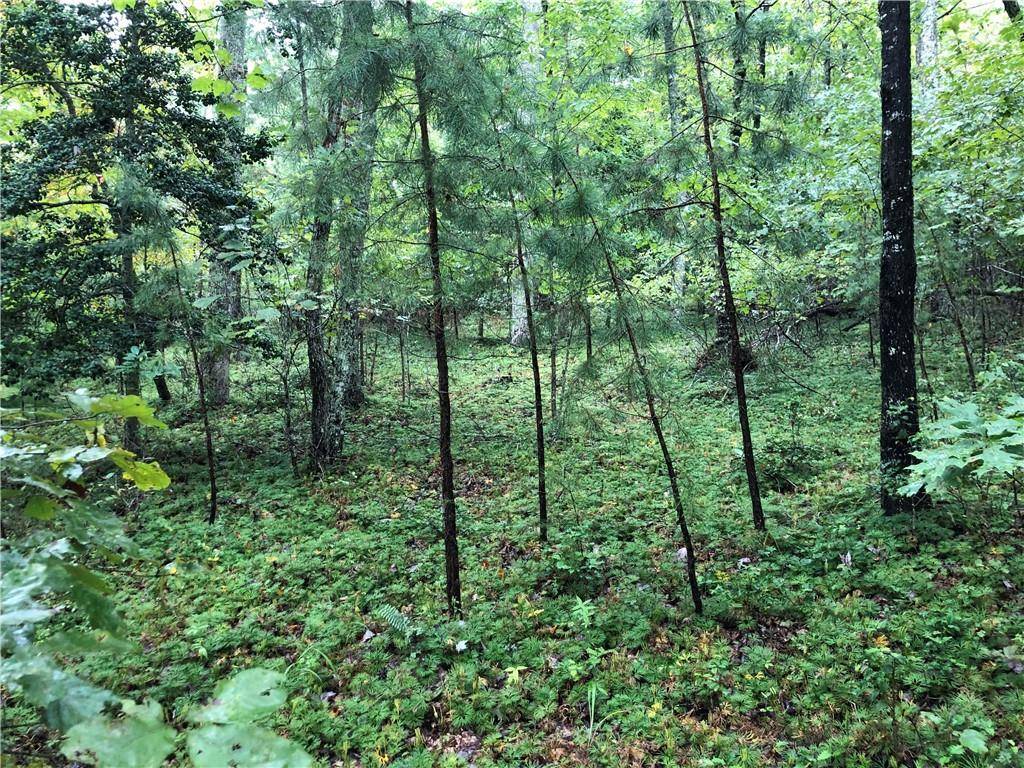 Morganton, GA 30560,Lot 22 Hunter's Ridge