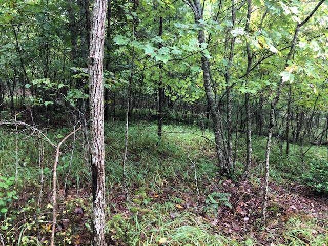 Morganton, GA 30560,Lot 23 Hunter's Ridge