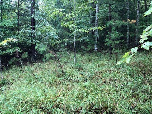 Morganton, GA 30560,Lot 23 Hunter's Ridge