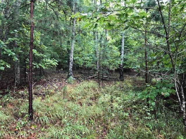 Morganton, GA 30560,Lot 23 Hunter's Ridge