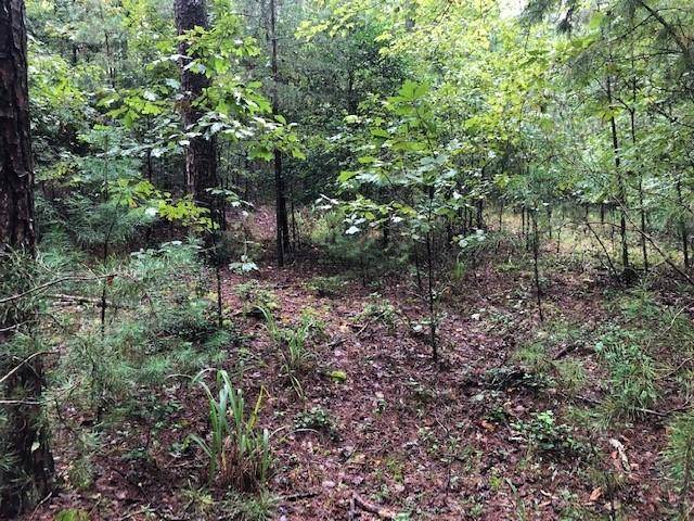 Morganton, GA 30560,Lot 25 Hunter's Ridge