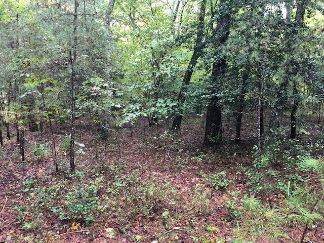 Morganton, GA 30560,Lot 25 Hunter's Ridge