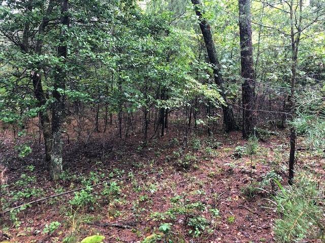 Morganton, GA 30560,Lot 25 Hunter's Ridge