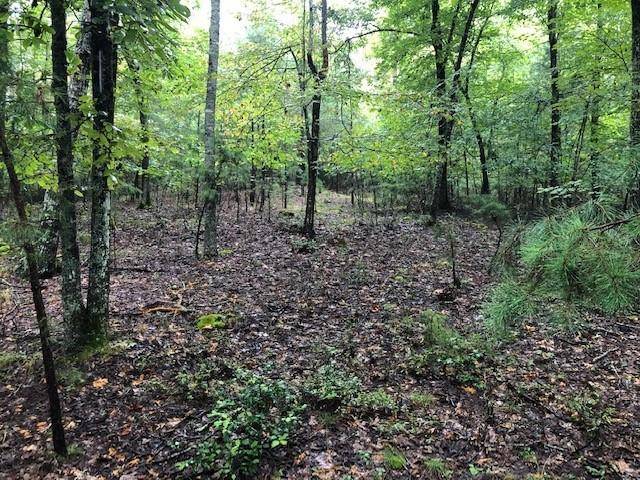 Morganton, GA 30560,Lot 28 Hunter's Ridge