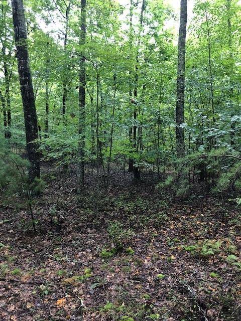 Morganton, GA 30560,Lot 28 Hunter's Ridge