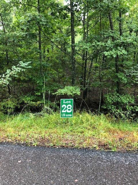 Morganton, GA 30560,Lot 28 Hunter's Ridge