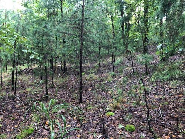 Morganton, GA 30560,Lot 28 Hunter's Ridge