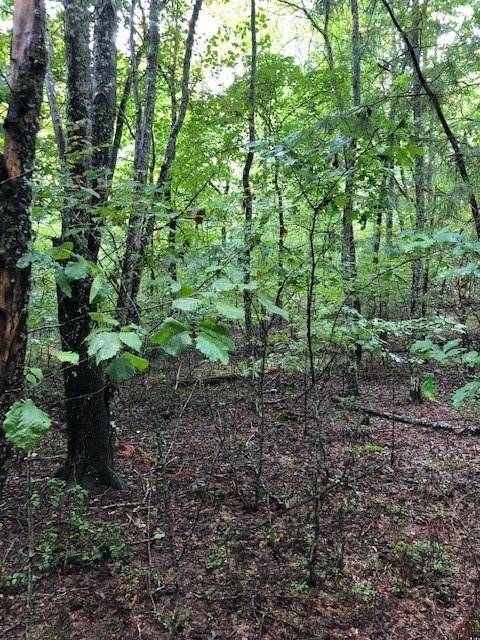 Morganton, GA 30560,Lot 29 Hunter's Ridge