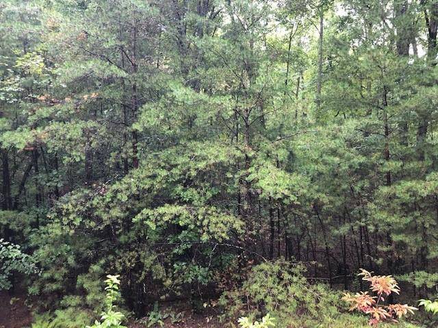 Morganton, GA 30560,Lot 29 Hunter's Ridge