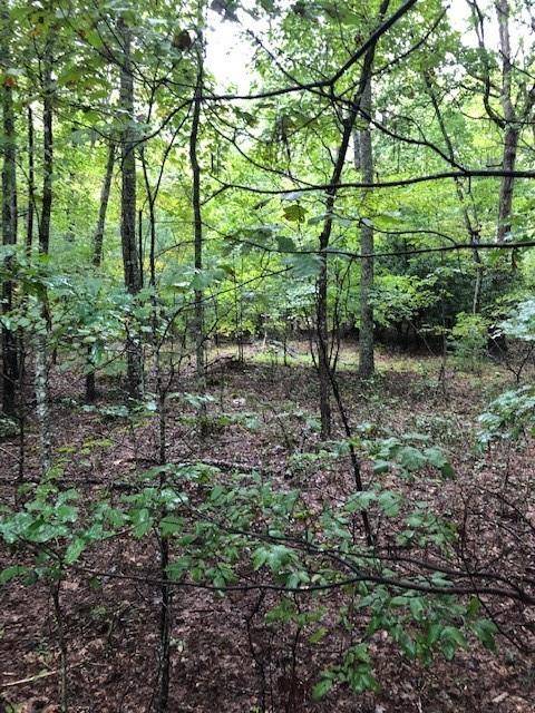 Morganton, GA 30560,Lot 29 Hunter's Ridge