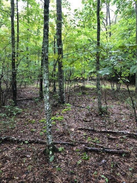 Morganton, GA 30560,Lot 29 Hunter's Ridge