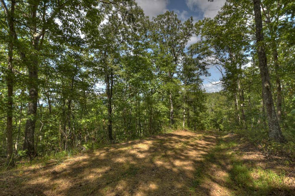 Blairsville, GA 30512,Lot 20 Hawksclaw EST