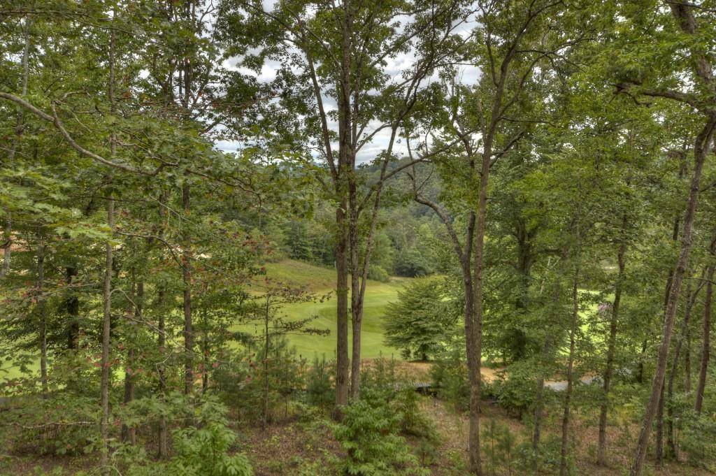 Mineral Bluff, GA 30559,640 Old Toccoa LOOP