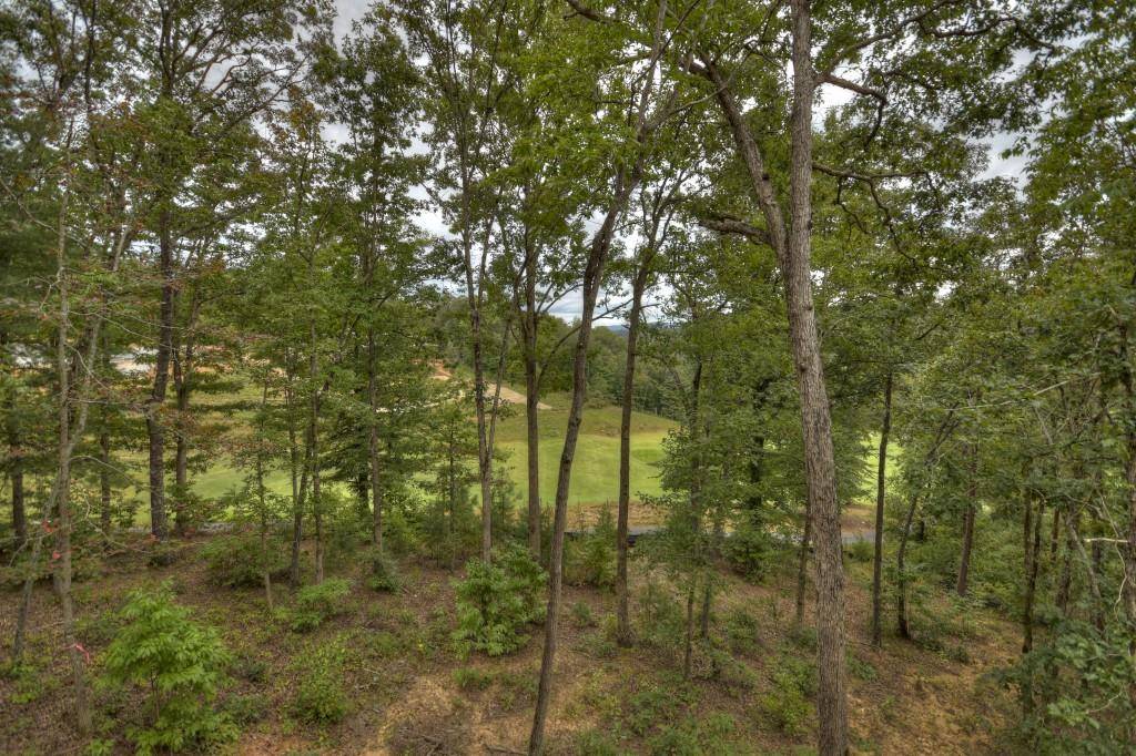 Mineral Bluff, GA 30559,640 Old Toccoa LOOP