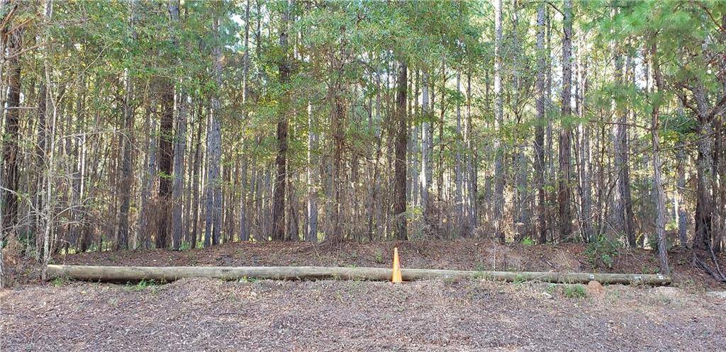 Carlton, GA 30627,Lot 10 ARNOLD CALDWELL RD