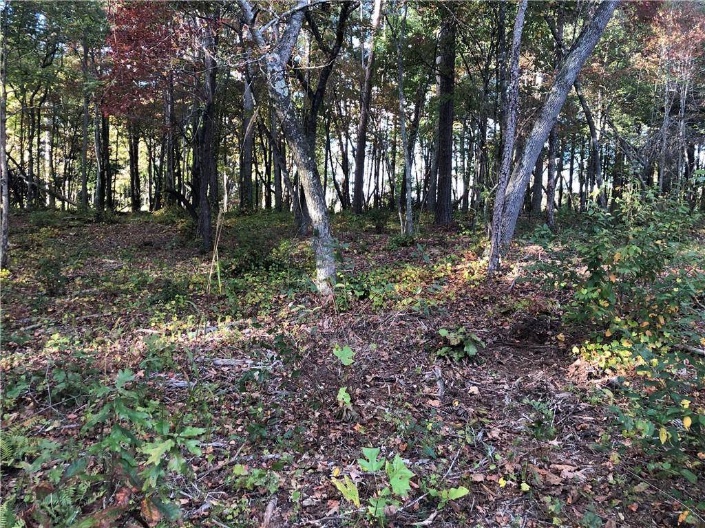 Ellijay, GA 30540,Lot 3 Sunset Cv