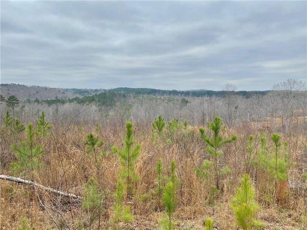 Martin, GA 30557,1068 Suttles RD