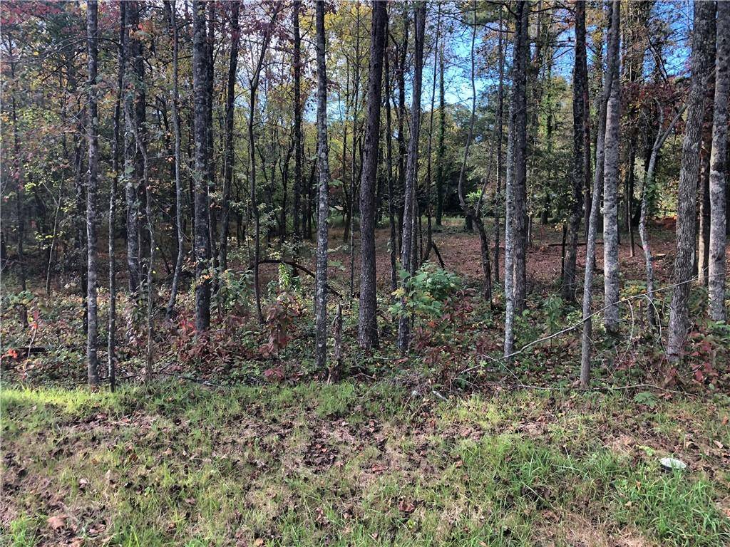 Ellijay, GA 30540,Lot 6 Sunset Cv