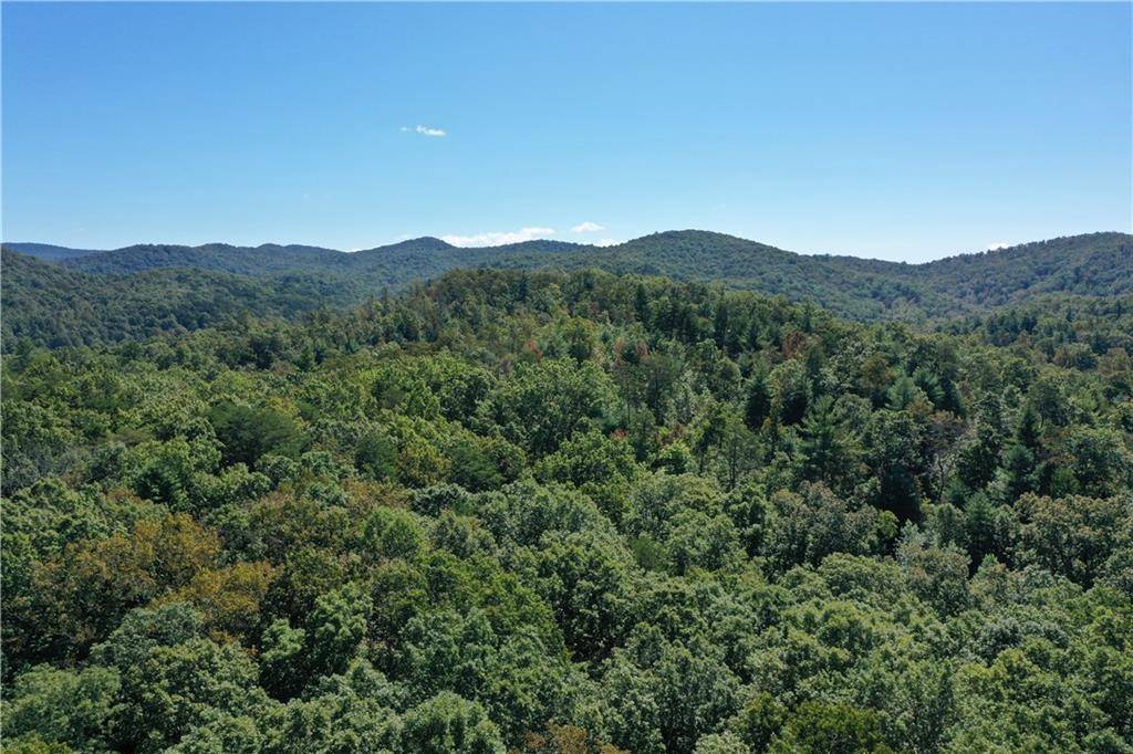 Ellijay, GA 30536,00 Mountain Ash RD