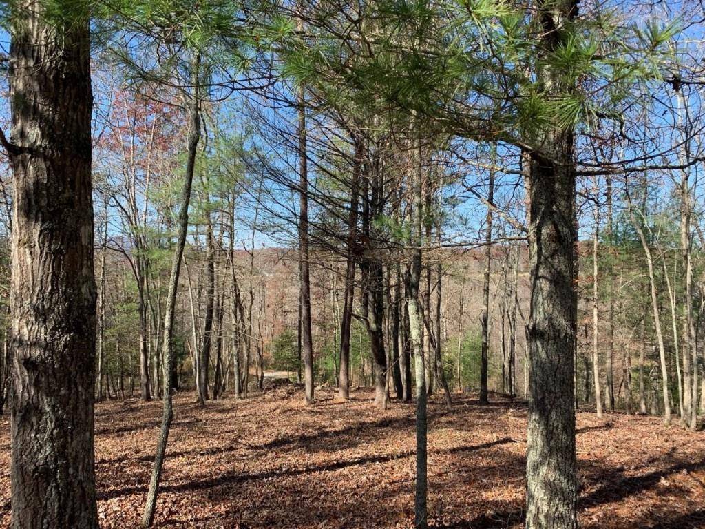 Mineral Bluff, GA 30559,215 Old Toccoa Loop