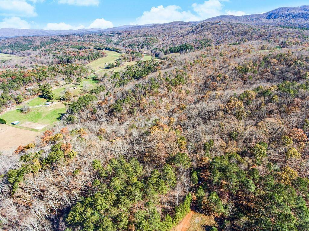 Ellijay, GA 30540,Tr C North Dean TRL