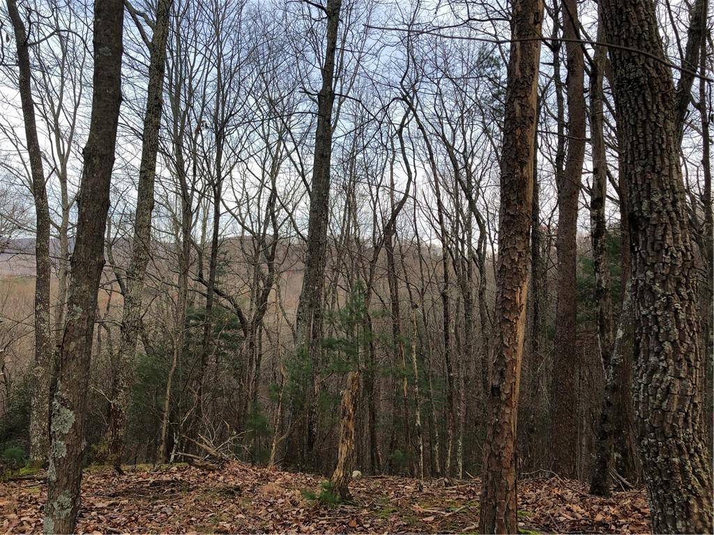 East Ellijay, GA 30536,J227 Walnut Mountain RD