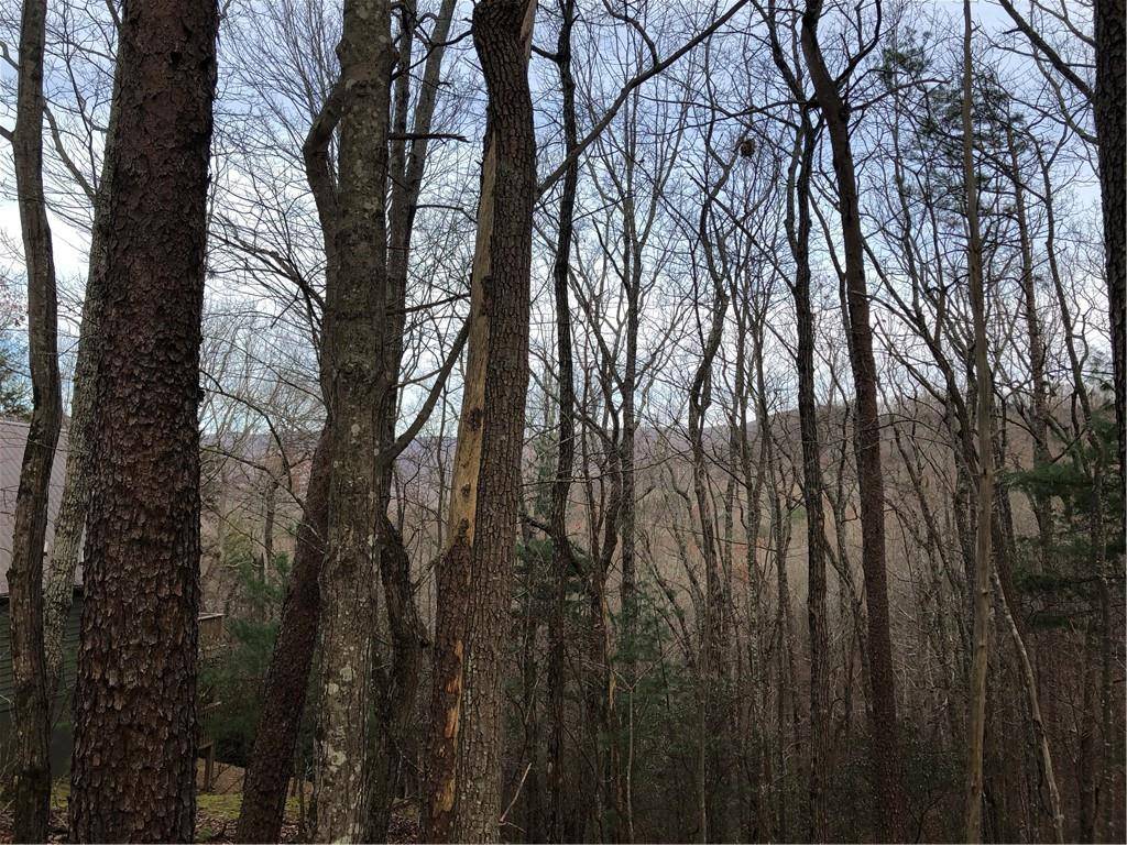 East Ellijay, GA 30536,J227 Walnut Mountain RD