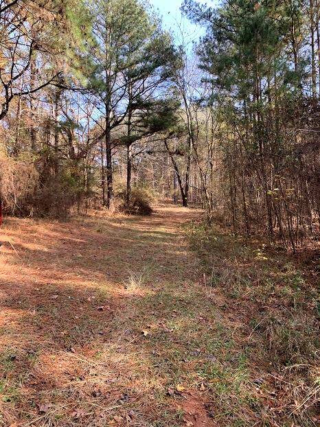 Shady Dale, GA 31085,0 Johnny Fears RD