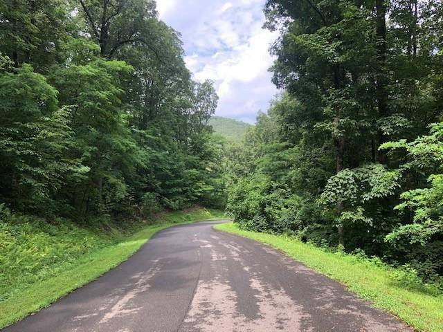 Ellijay, GA 30536,0 Mountain Loop LOOP