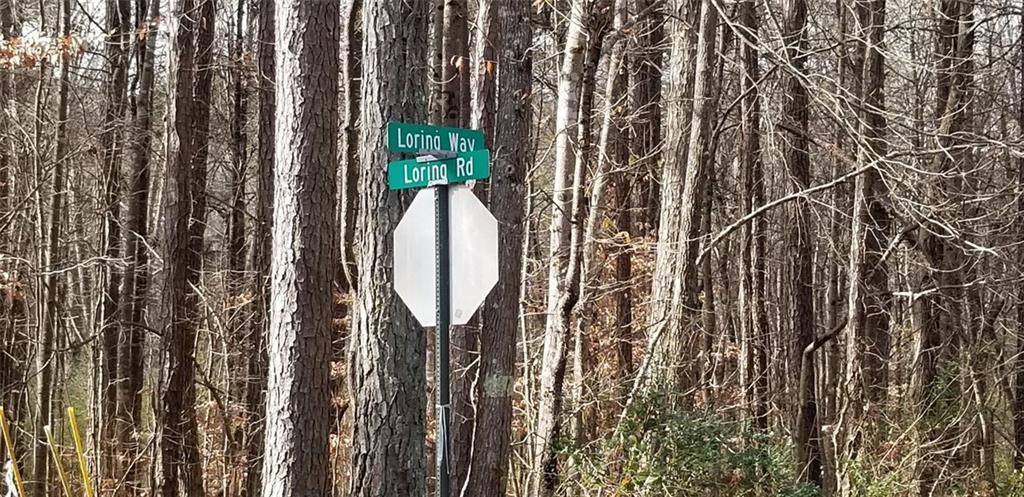 Kennesaw, GA 30152,3966+8 Loring Way NW