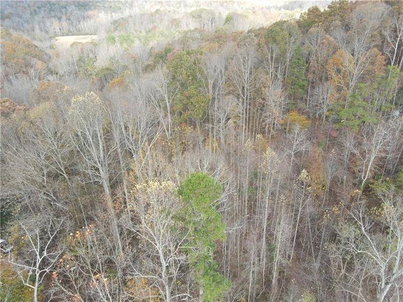 Murrayville, GA 30564,6663 Claude Parks RD