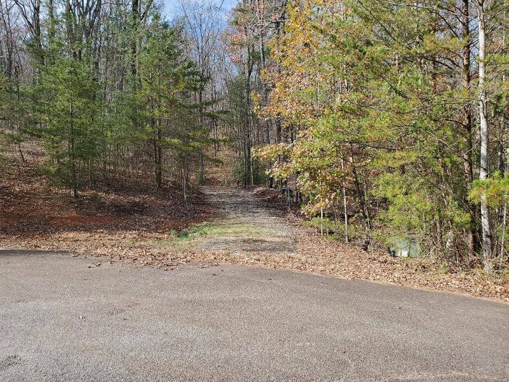 Sautee Nacoochee, GA 30571,0 Sassafras Ridge DR