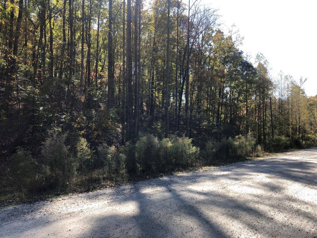 Alto, GA 30511,0 Old Hwy 441 N