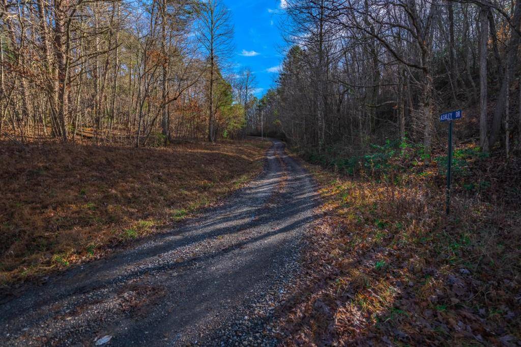 Mccaysville, GA 30555,Lot 67 Ashley DR