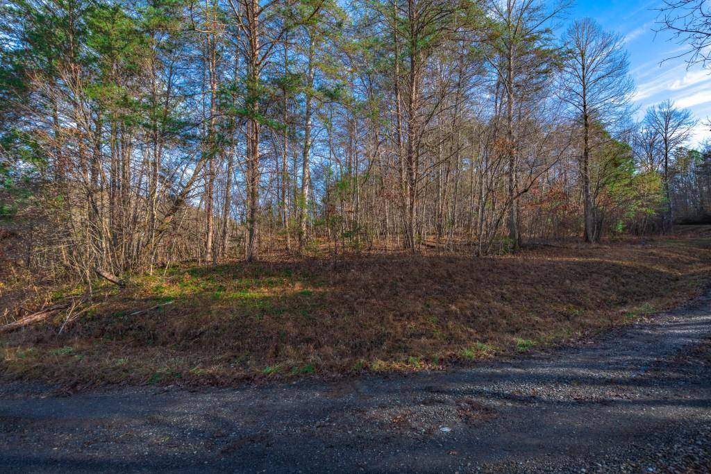 Mccaysville, GA 30555,Lot 67 Ashley DR