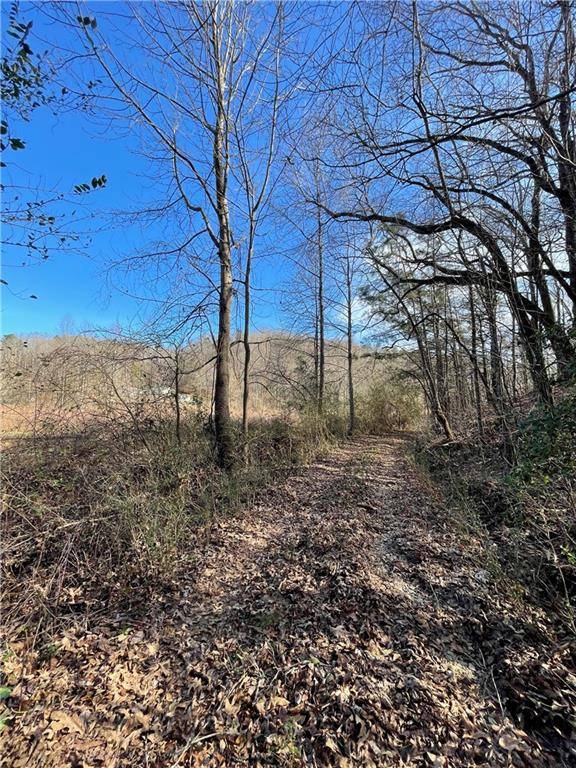 Ellijay, GA 30540,000 W Hwy 382