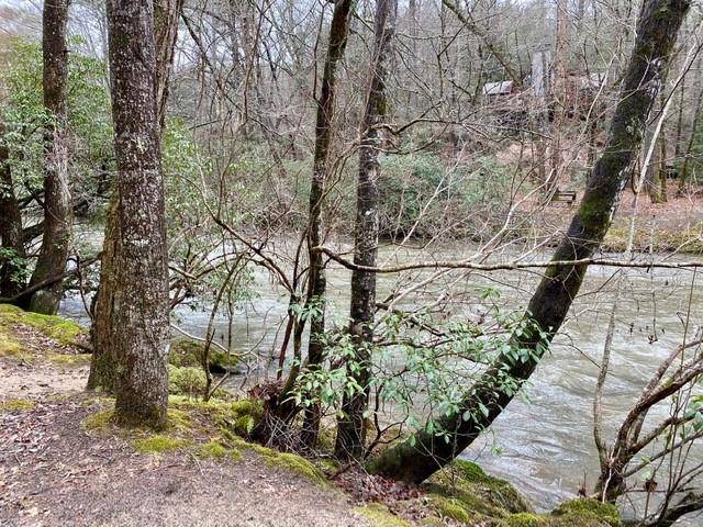 Ellijay, GA 30536,0 Goldmine DR