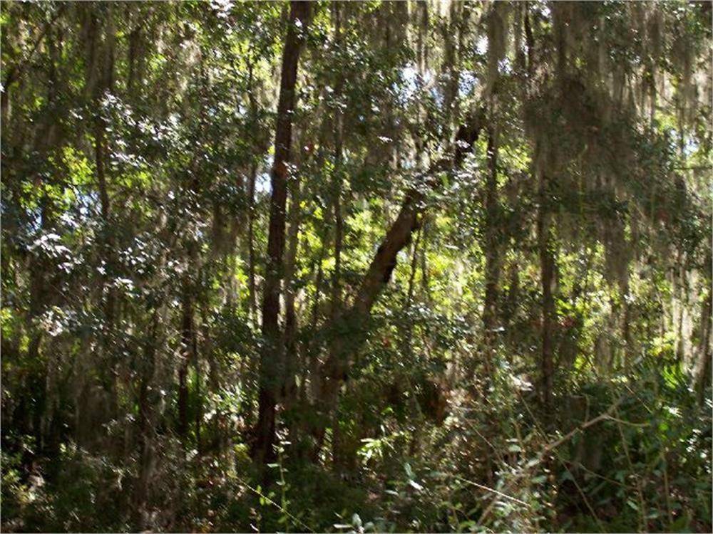 St. Simons, GA 31522,168 Hampton Point DR