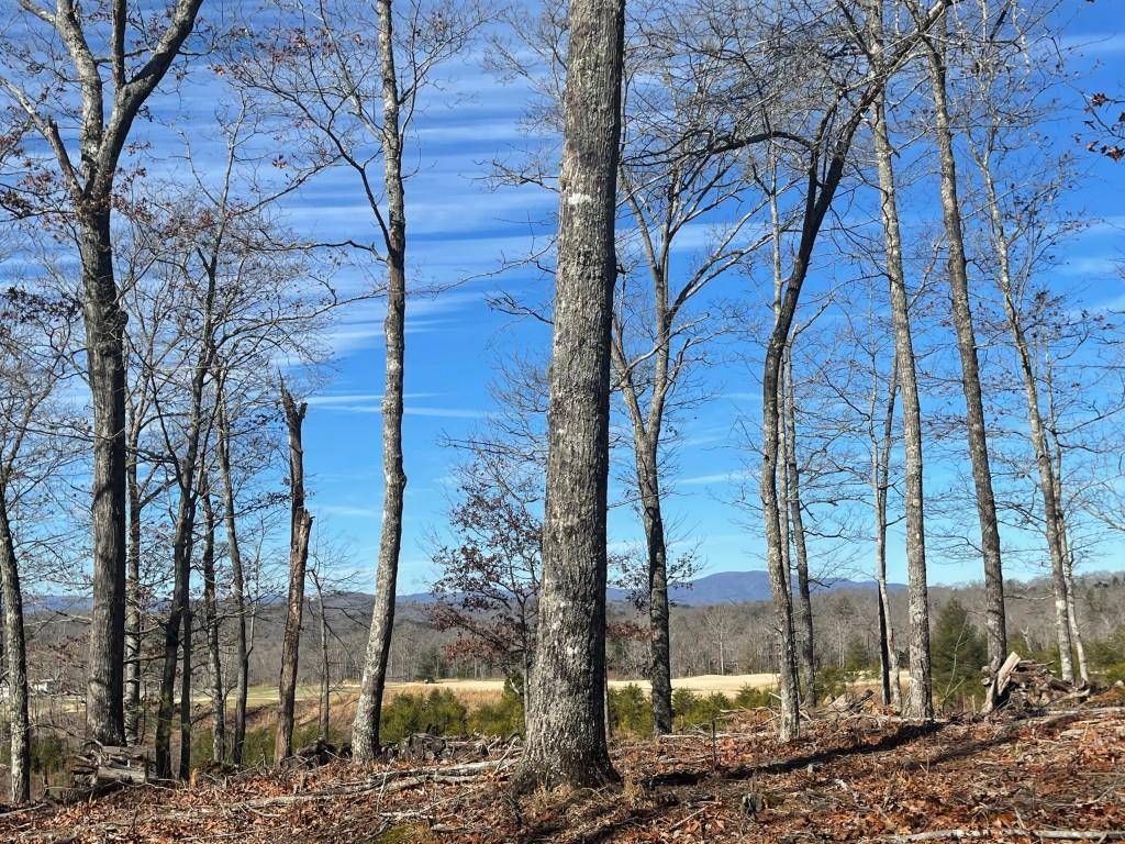 Mineral Bluff, GA 30559,LT 188 Old Toccoa Farm