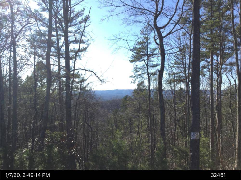 Ellijay, GA 30540,0 Merriam DR