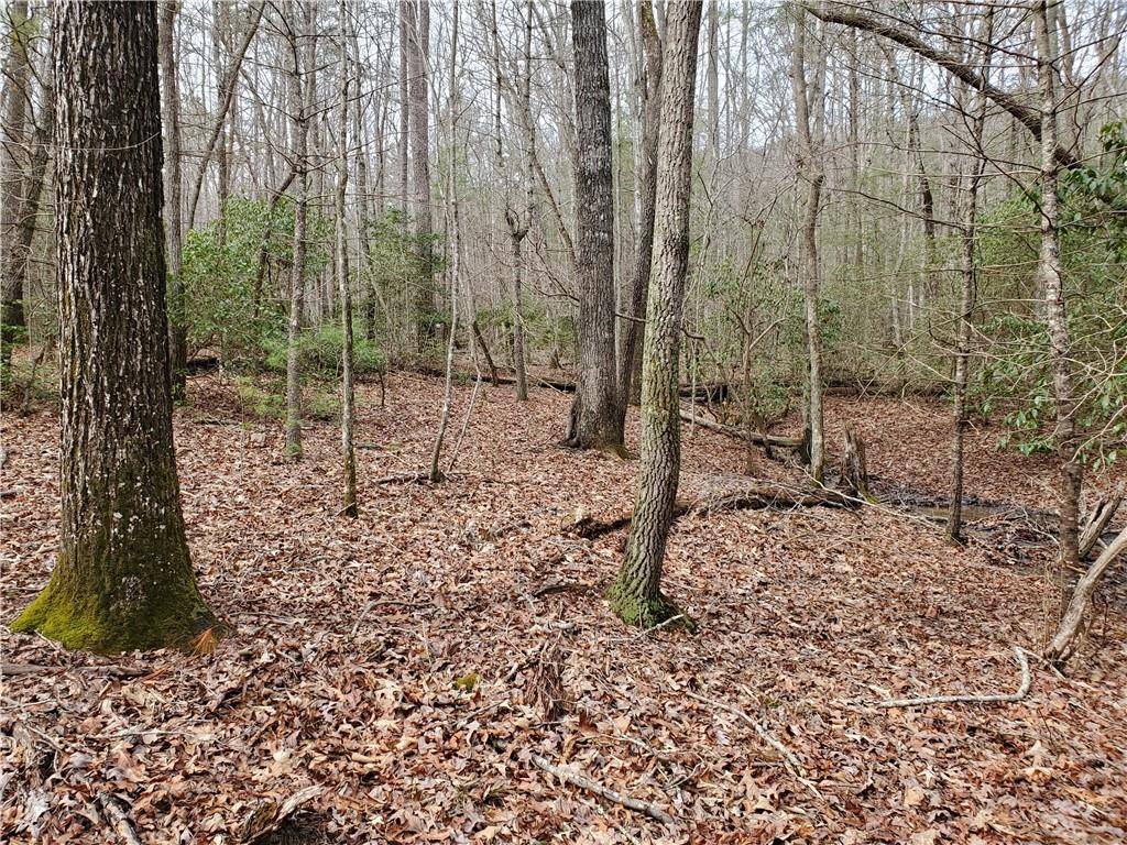 Blairsville, GA 30512,Lot 1 Tanner Cove RD