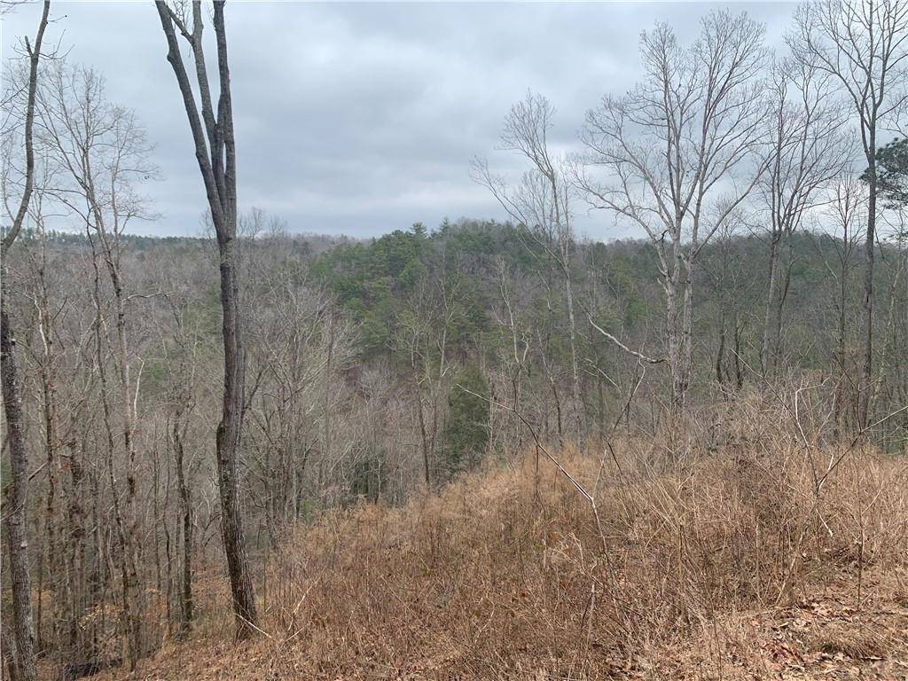 Ellijay, GA 30540,135 Flat Ridge Rd