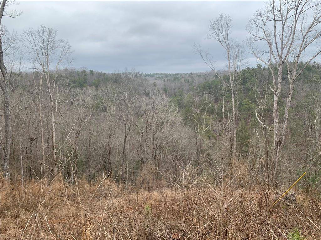 Ellijay, GA 30540,135 Flat Ridge Rd