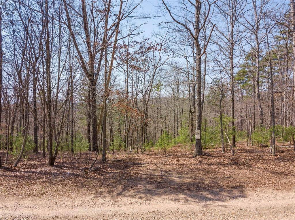 Morganton, GA 30560,Lot 9 Hay DR